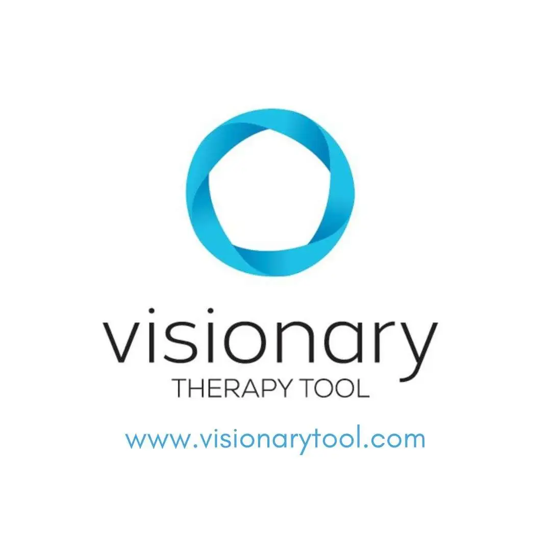 www.visionarytool.com (1)